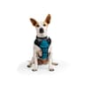 EveryYay Front Walking Reflective Harness