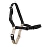PetSafe Easy Walk Harness