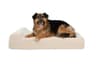 Big Barker 7" Pillow Top Orthopedic Bed