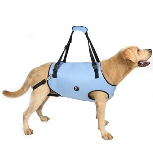 Coodeo Dog Lift Harness, Rehabilitation Sling (Blue, L)