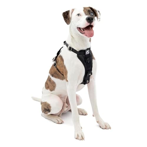 Kurgo Tru-Fit Smart Harness (Enhanced Strength)