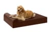 Big Barker 7" Pillow Top Orthopedic Bed