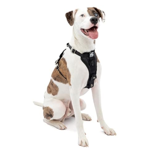 Kurgo Tru-Fit Smart Harness (Enhanced Strength)