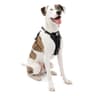 Kurgo Tru-Fit Smart Harness (Enhanced Strength)
