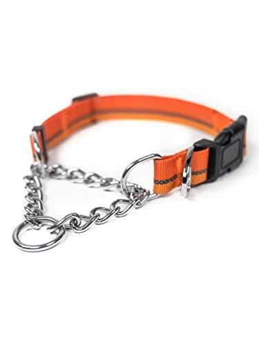 Mighty Paw Martingale Collar 2.0