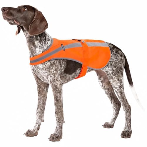 Dnallrino Blaze Orange Dog Safety Vest with Bell