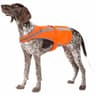Dnallrino Blaze Orange Dog Safety Vest with Bell
