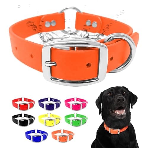 Regal Dog Products Waterproof Biothane Collar, Nickel Double Buckle