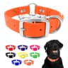 Regal Dog Products Waterproof Biothane Collar, Nickel Double Buckle