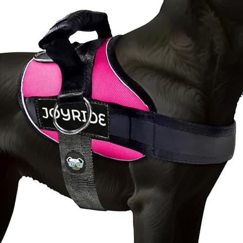 Joyride Harness 2.0 (Side-Ring No-Pull)