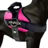 Joyride Harness 2.0 (Side-Ring No-Pull)