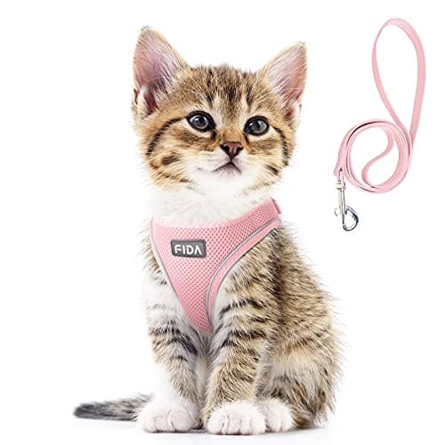 Fida Comfy Step-In Mesh Harness & Leash Set