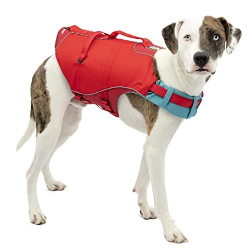 Kurgo Surf n' Turf Life Jacket