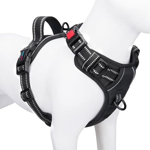 PHOEPET No-Pull Reflective Harness