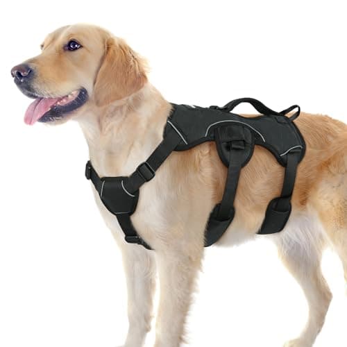 rabbitgoo Escape-Proof Harness with Lift Handle