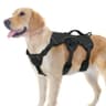 rabbitgoo Escape-Proof Harness with Lift Handle