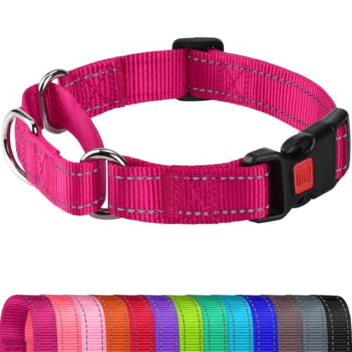 Joytale Martingale Collar