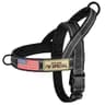 Forestpaw No Pull Dog Harness with Large Handle (XL)