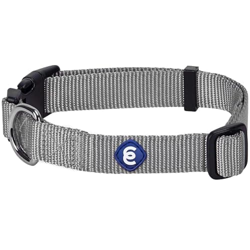 Blueberry Pet Essentials Nylon Collar