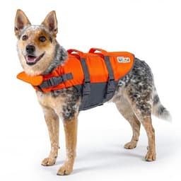 Outward Hound Granby Splash Life Jacket