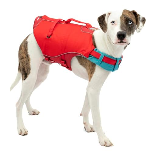 Kurgo Surf n' Turf Life Jacket