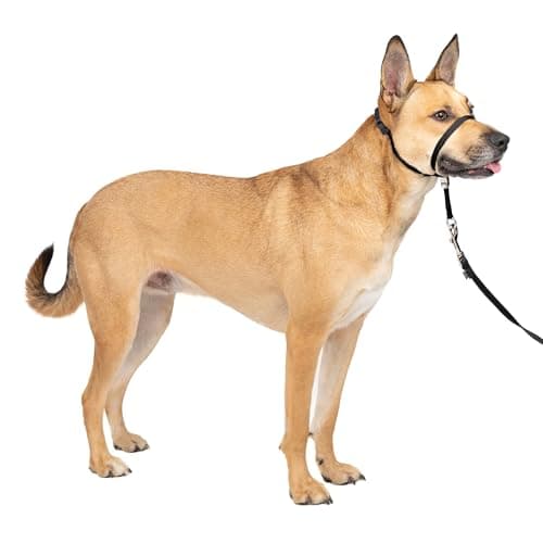 PetSafe Gentle Leader Head Collar