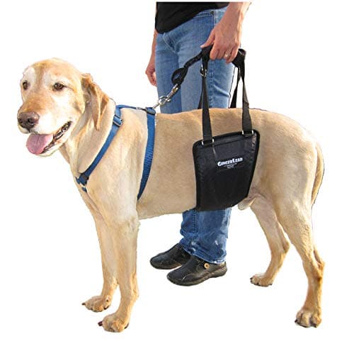 GingerLead K9 Sling Hind Leg Support, M/LG Unisex with Cutout
