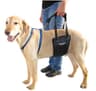 GingerLead K9 Sling Hind Leg Support, M/LG Unisex with Cutout