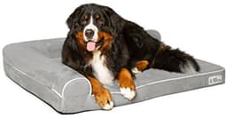 PetFusion BetterLounge Orthopedic Dog Bed, X-Large