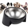 Tafelf 15-Degree Tilted Stainless Steel Dog Bowl (M)