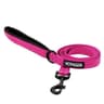 Best Pet Supplies Voyager Nylon Dog Leash, 5 ft