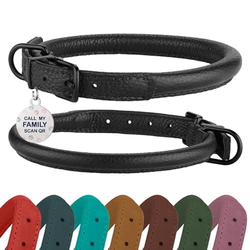 BRONZEDOG Rolled Leather Collar