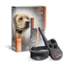 SportDOG FieldTrainer 425X