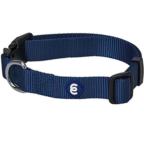 Blueberry Pet Essentials Nylon Collar
