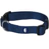 Blueberry Pet Essentials Nylon Collar