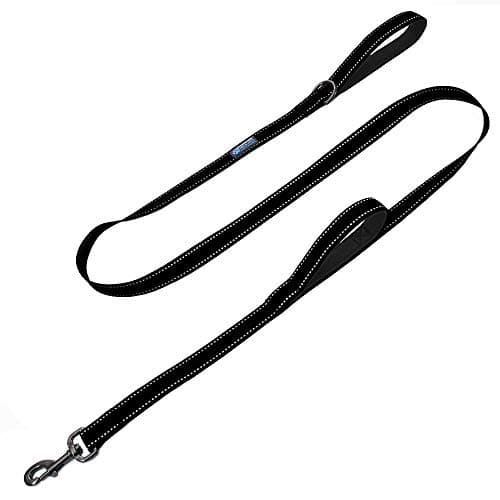 Max and Neo Double Handle Traffic Leash, Reflective