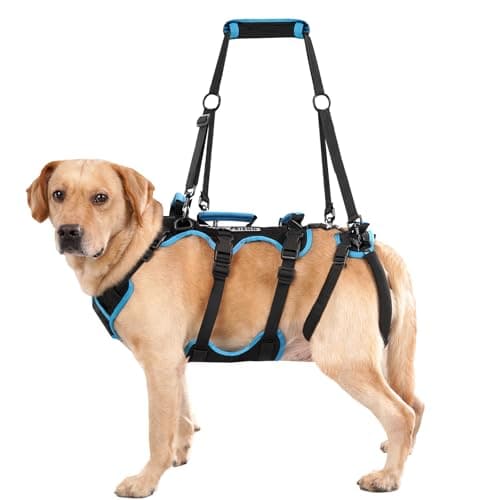 Lafoty 2-in-1 Detachable Dog Lift Harness, 4 Handles (X-Large)