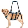 Lafoty 2-in-1 Detachable Dog Lift Harness, 4 Handles (X-Large)