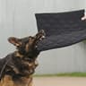 MABOZOO Chew-Proof Waterproof Crate Pad