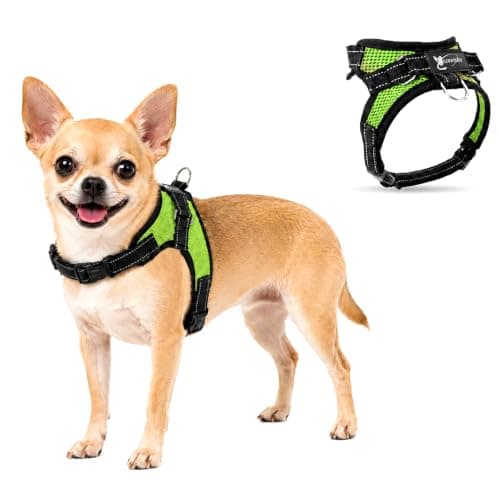 Copatchy No-Pull Mesh Harness with Handle