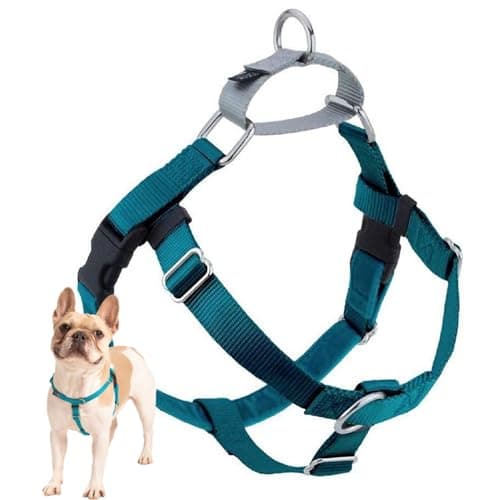 2 Hounds Design Freedom No-Pull Harness