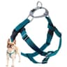 2 Hounds Design Freedom No-Pull Harness