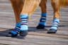 Bark Brite Lightweight Neoprene Paw Protector Boots