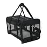 Amazon Basics Airline Approved Soft-Sided Carrier