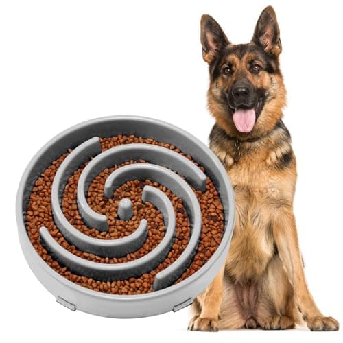 JASGOOD Spiral Maze Slow Feeder Bowl