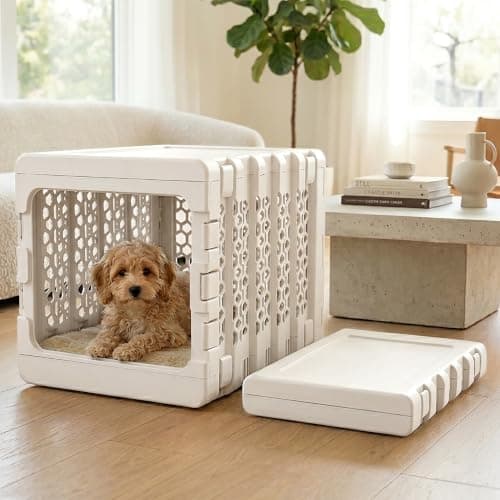 KindTail PAWD Collapsible Crate, Medium