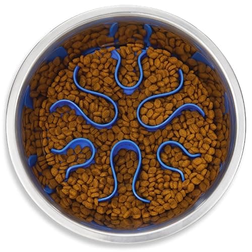 Outward Hound Fun Feeder Stainless Steel Slo Bowl, Medium
