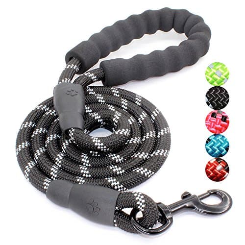 BAAPET Padded-Handle Dog Leash