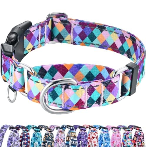 Fidohug Reflective Martingale with Quick-Release Buckle