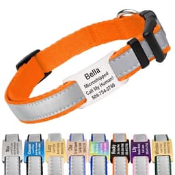 GoTags Reflective Personalized Collar
